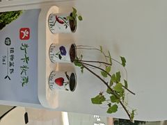 -大树餐厅(环球港店)
