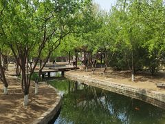 -三里河公园