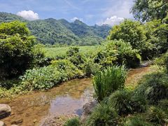 -中国茶叶博物馆(双峰馆区)