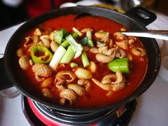 湘为肥肠火锅-湘肠香火锅店(团结湖店)