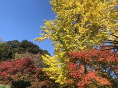 -常寂光寺