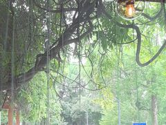 -时间仓(月湖公园店)