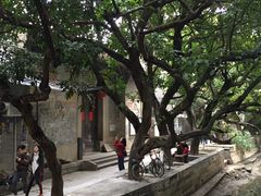 -小洲村