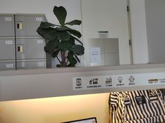 -众独空间沉浸式自习室(三阳路铂仕汇店)