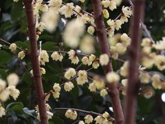-黎里柳亚子纪念馆