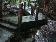 -阳台山森林公园