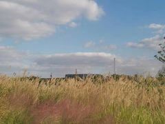 -上海山野camping·户外天幕烧烤·团建拓展营地