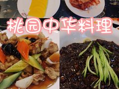 -桃园中华料理炸酱面(燕儿岛路店)
