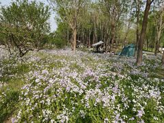 -东郊湿地公园