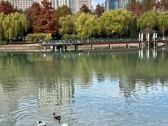 -新虹桥中心花园