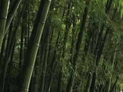 -苏州环秀晓筑养生度假村