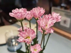 -南堂館川菜文化餐厅(天府店)