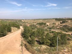 -鄂尔多斯野生动物园