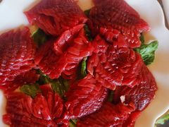 -二荆条·蜀鲜汇城市森林火锅