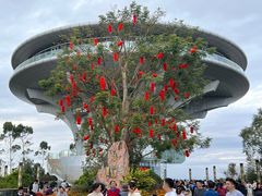 -神光山国家森林公园