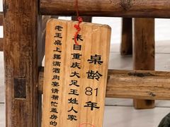 -聂发财重庆江湖菜(解放碑店)