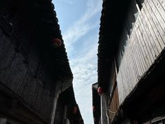 -枫泾丁氏烧卖(枫丽路店)