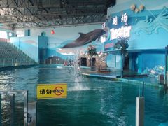 -苏州海洋馆