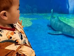 -华夏文旅海洋公园