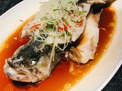 清蒸鲈鱼-悦百味·品质川菜(上城店)