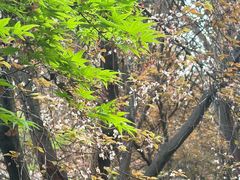 -木塔寺遗址生态公园