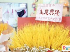 -Dr.Sport运动博士少儿运动能力培养中心(锦华万达运动中心)