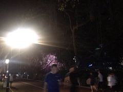 -南宁南湖公园