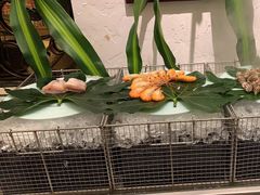 -火舞泰·泰式海鲜火锅餐厅(世纪城店)