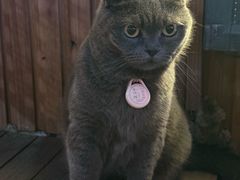 -春笙食堂.丼饭拉面寿司(GOGO新天地店)