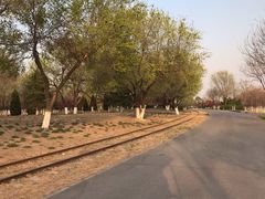 -永定河休闲森林公园