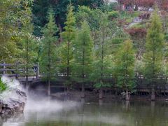 -广州市帽峰山景区