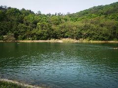 -紫金山山顶公园