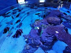 -成都浩海立方海洋公园