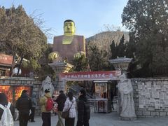 -山东大学学府大酒店(千佛山地铁站店)