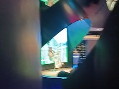 -碧涛阁·泡泡海洋·汤泉洗浴(王府花园店)