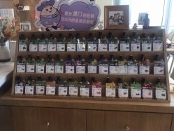 -dōTERRA多特瑞精油生活馆