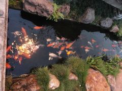 DSC08160-绿华园休闲山庄