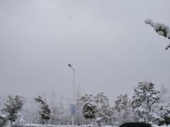 -洋湖国家湿地公园