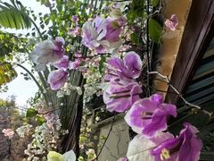 -深圳国际园林花卉博览园