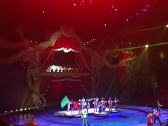 -珠海横琴长隆《卡卡虎奇遇记》