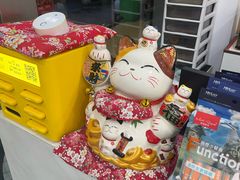 -四月宠物医院·猫专科·心脏专科·内科(转塘店)