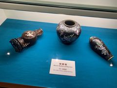-青岛贝壳博物馆