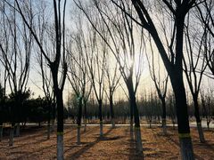 -永定河休闲森林公园