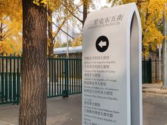 -三里屯东五街银杏大道