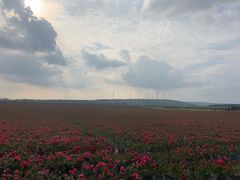 -南京枫彩漫城