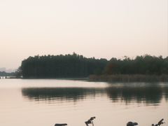 -东湖落雁景区