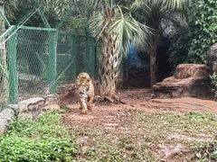 -海南热带野生动植物园
