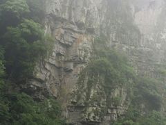 -宁波浙东大竹海景区