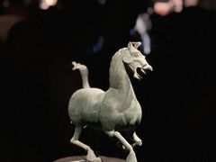 -甘肃省博物馆