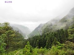 -娄山关景区